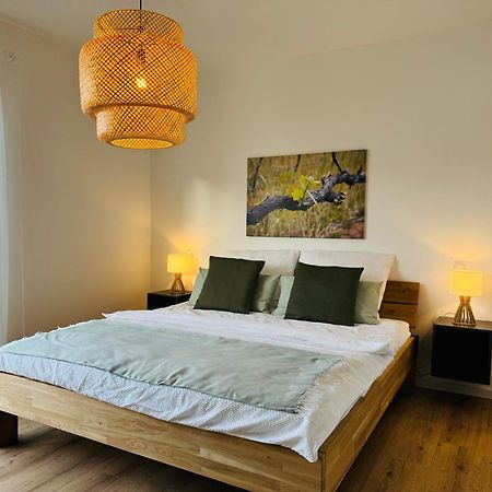 Moderne Ferienwohnung Mit Terrasse, Grill & Privatparkplatz Venningen Exterior foto